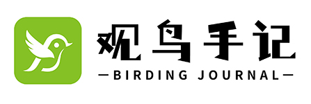 观鸟手记